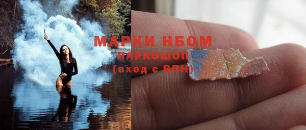 прущие грибы Алзамай