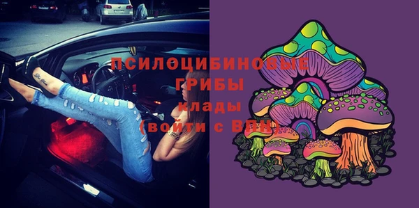 mix Алексин