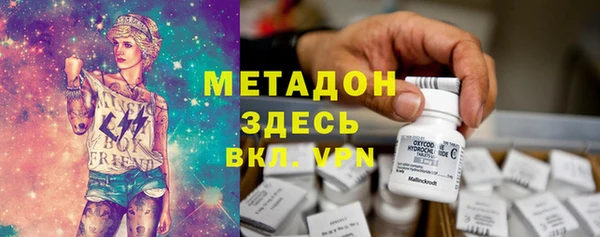 прущие грибы Алзамай