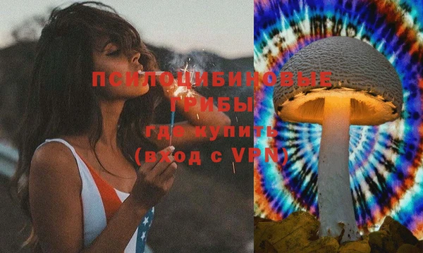 прущие грибы Алзамай